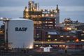 BASF планирует изменения в портфеле продуктов для украинского рынка фото